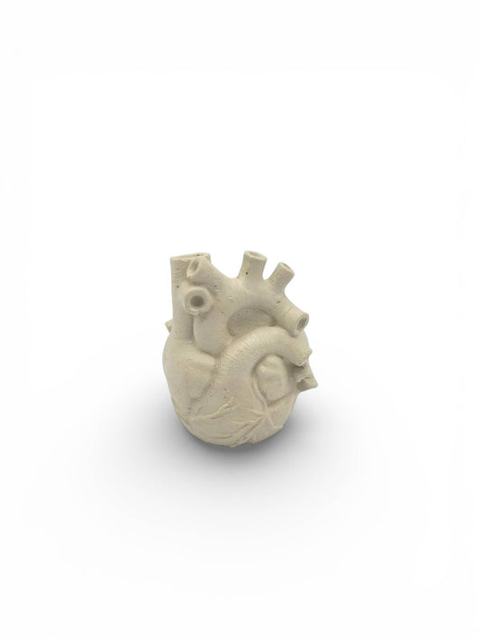 Anatomical Heart Planter