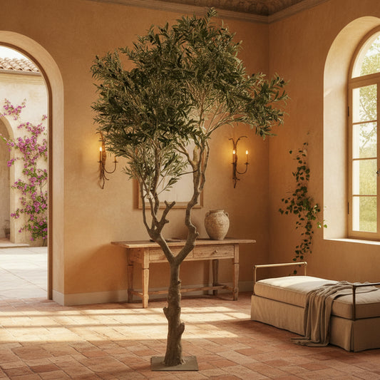 Olive trees
