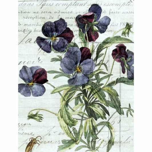 Botanical v3 Decoupage Rice Paper - A4 - 6pc - for Crafts