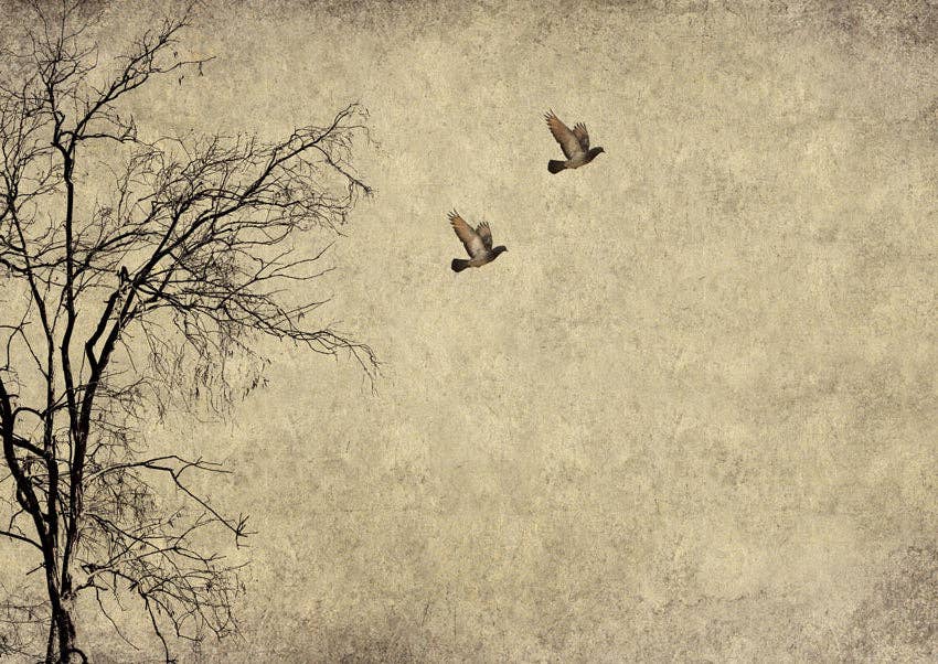 Flying Birds Mint Decoupage Paper