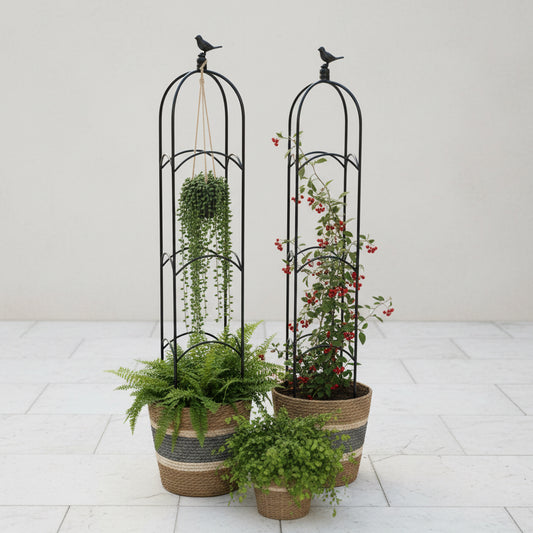 Planter Obelisk with bird finial (2 Sizes)