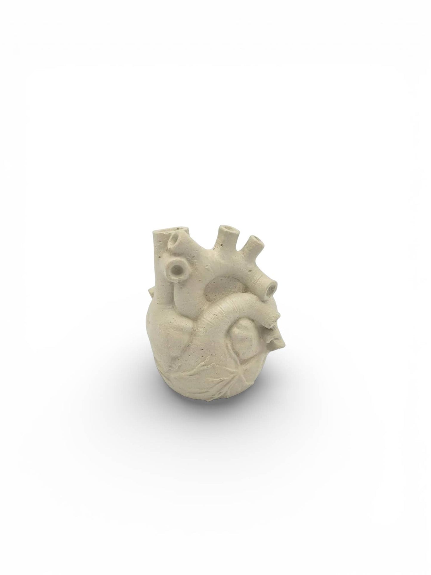 Anatomical Heart Planter
