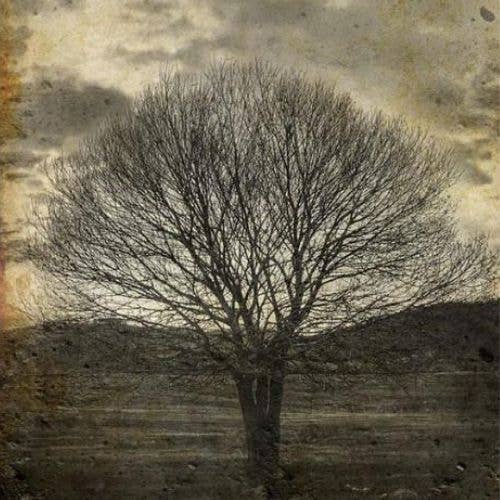 Sepia Tree Mint Decoupage Paper