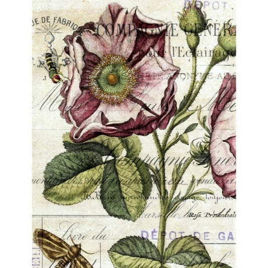 Botanical Theme Decoupage Rice Paper - A4 - 6pc - for Crafts