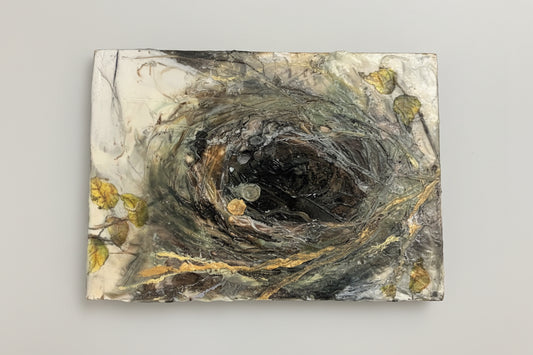 “Ember And Nest”