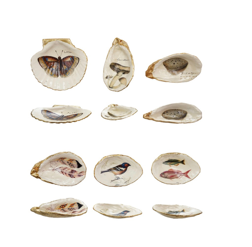 Decorative Resin Shell Shaped Display