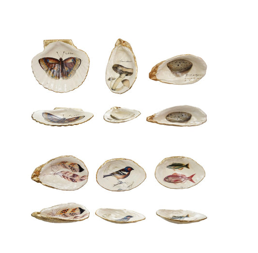 Decorative Resin Shell Shaped Display