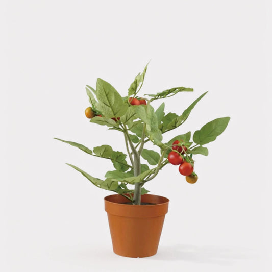 Faux Tomato Plant in Plastic Pot