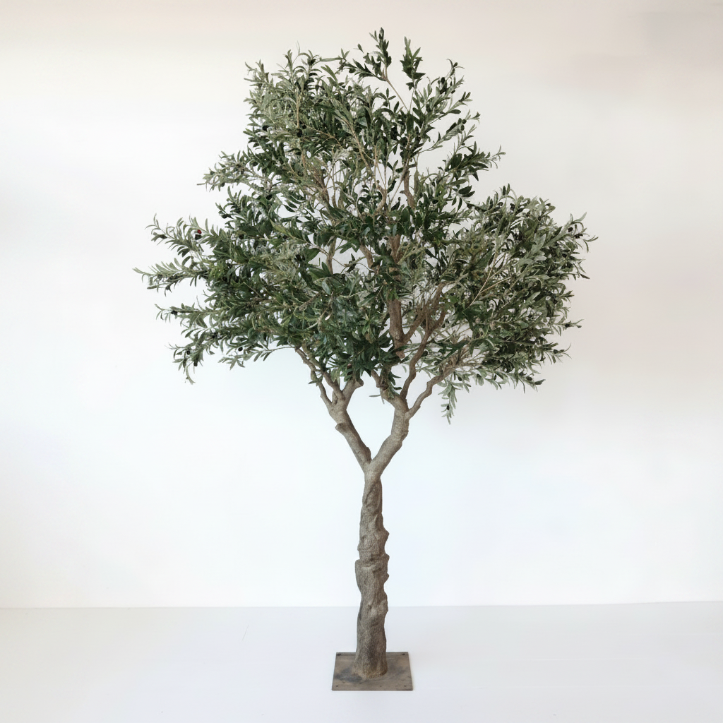 Olive trees