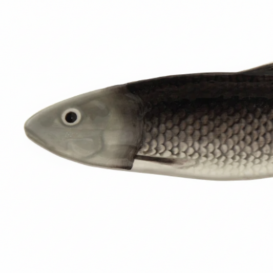 Sardine Plate