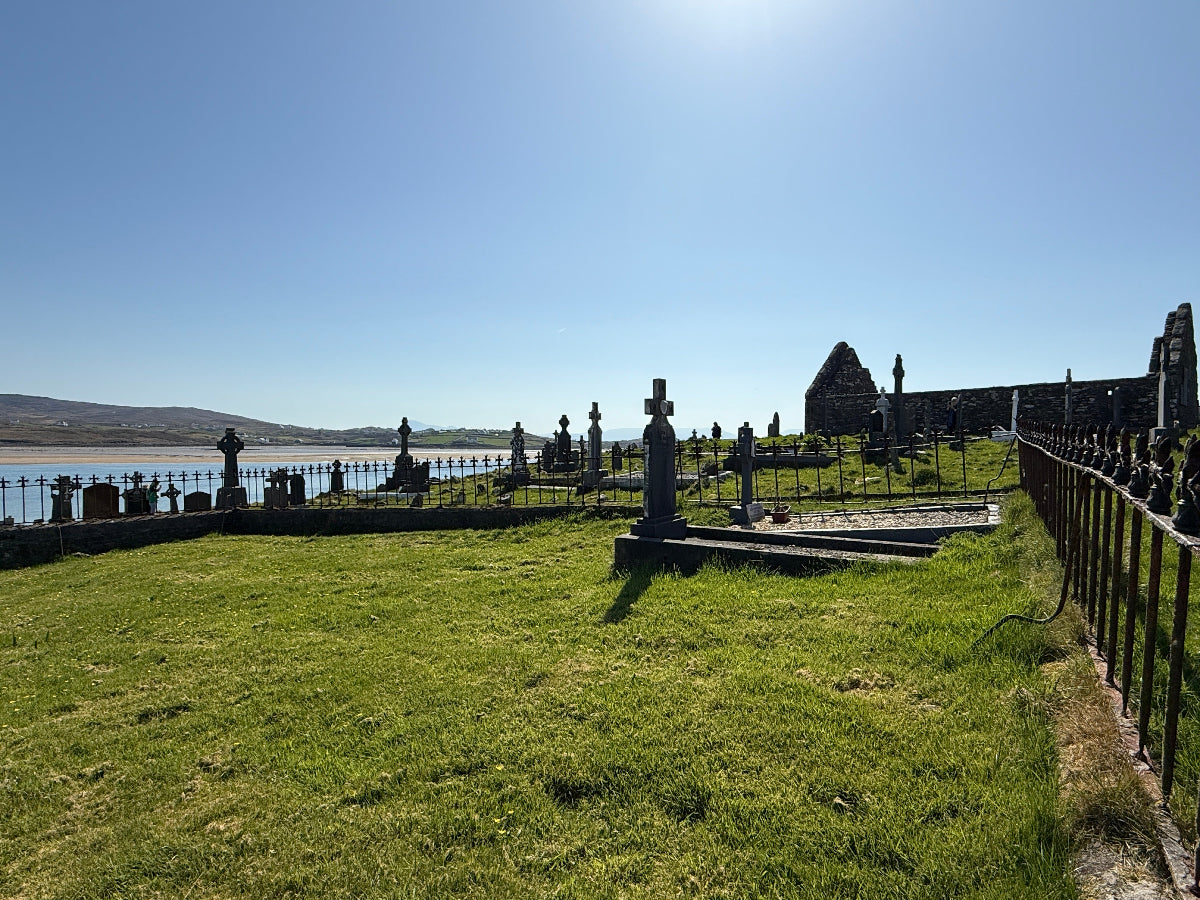March 2026- Mind's Eye Landscapes (Mulranny, Ireland)