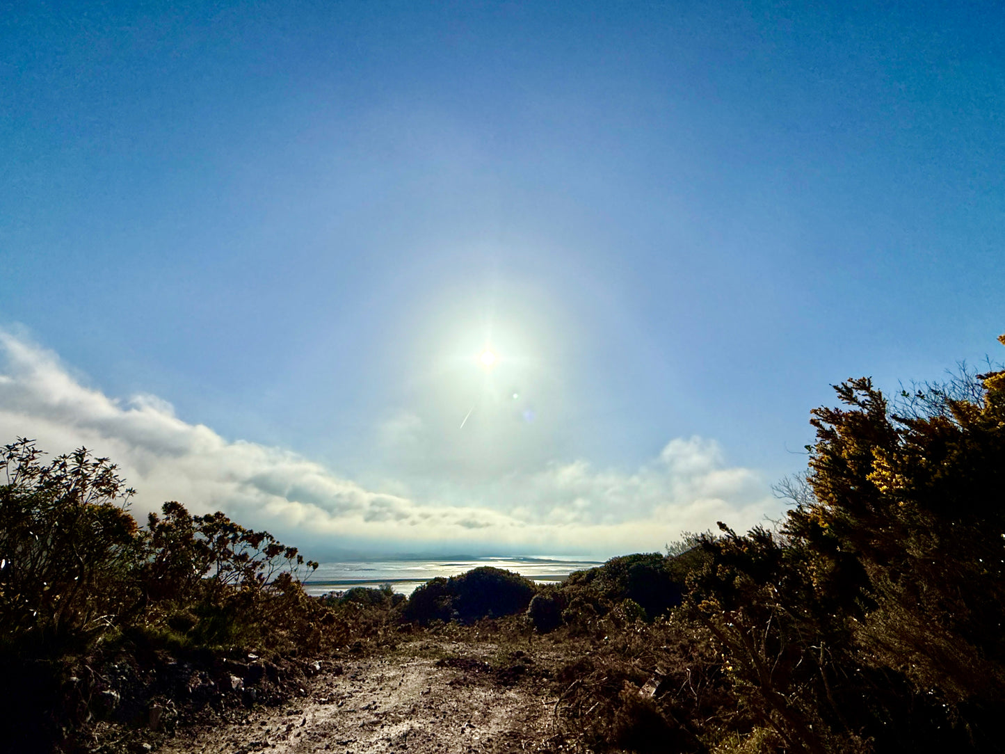 March 2026- Mind's Eye Landscapes (Mulranny, Ireland)