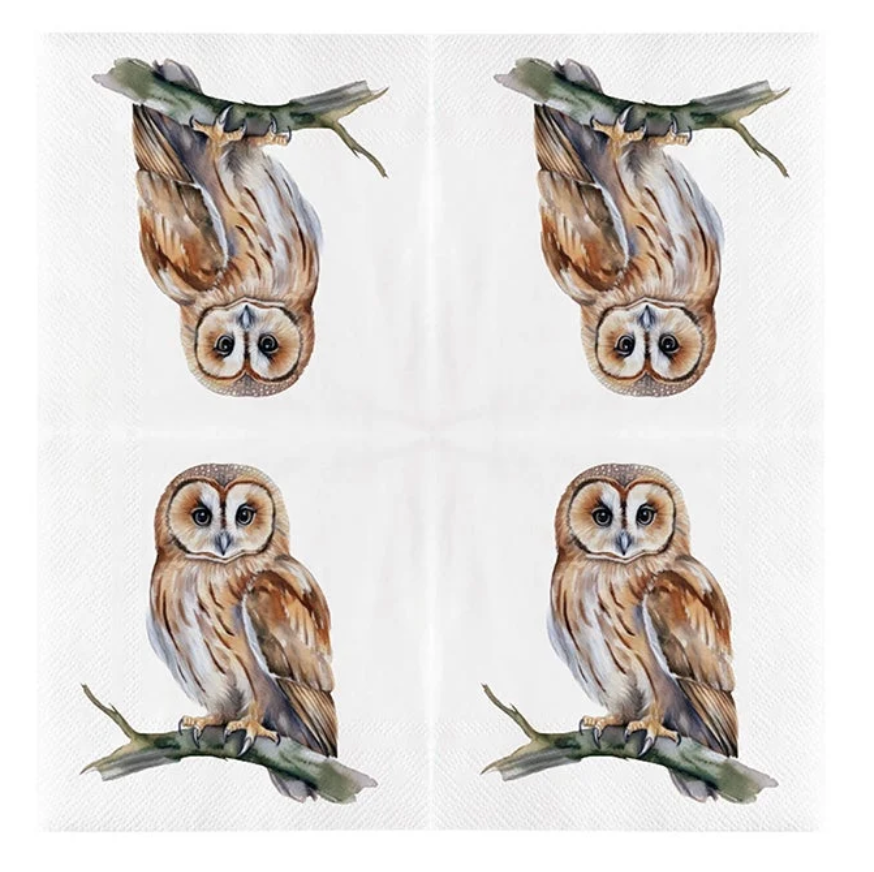 Paper Napkins - Owls (33x33cm)
