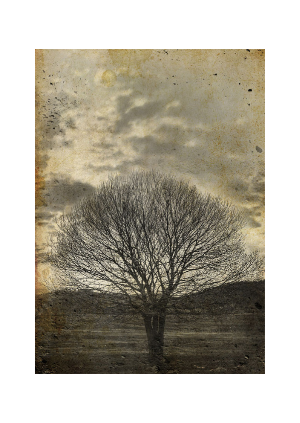 Sepia Tree Mint Decoupage Paper