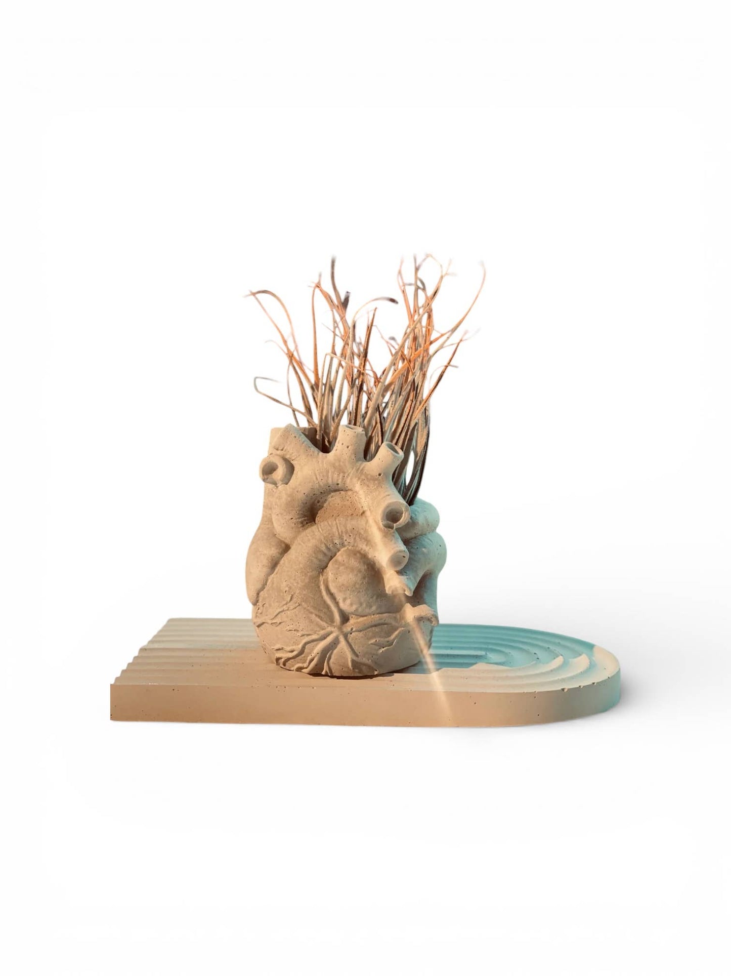Anatomical Heart Planter