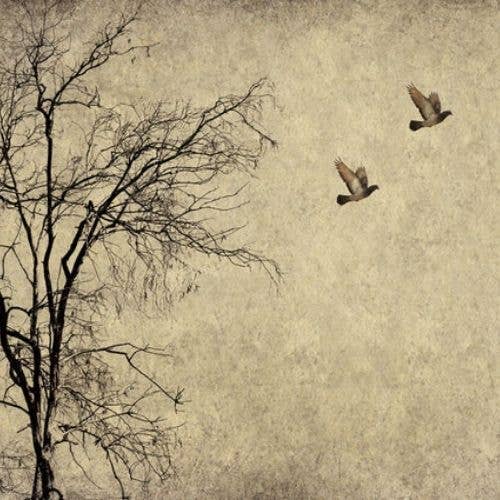 Flying Birds Mint Decoupage Paper